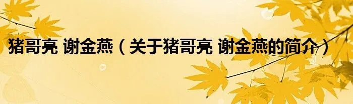 猪哥亮 谢金燕（关于猪哥亮 谢金燕的简介）