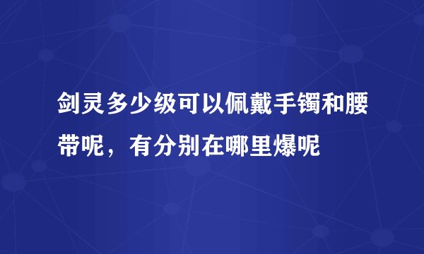 剑灵多少级可以佩戴手镯和腰带呢，有分别在哪里爆呢
