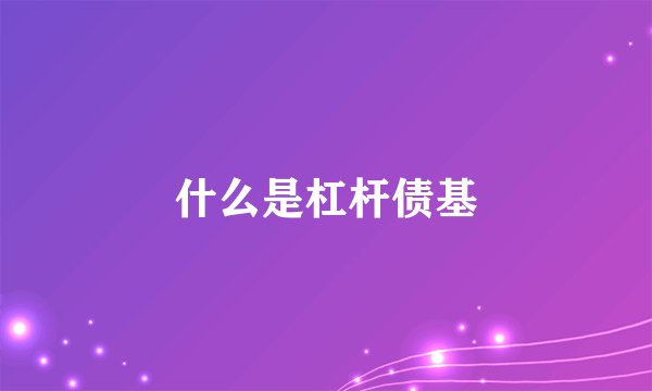 什么是杠杆债基