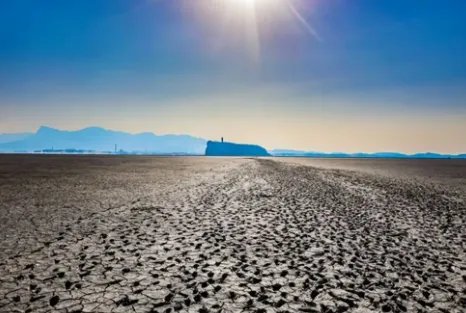 鄱阳湖湖床干涸草枯鱼死，20人自费转运万鱼到赣江，当时的情况是怎样的？