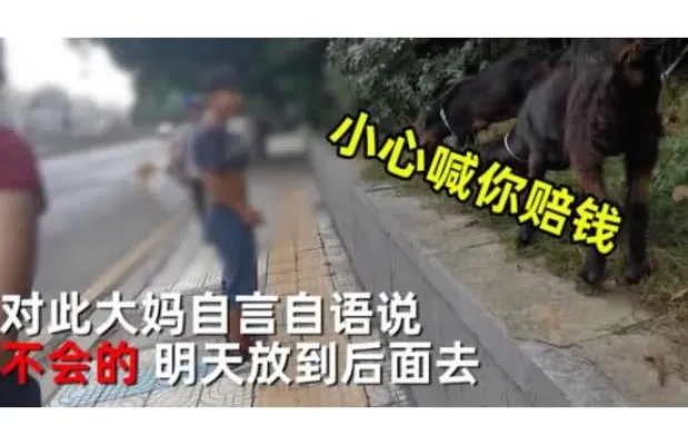 大妈闹市放羊啃食绿化带 现场画面曝光路人提醒反被怼