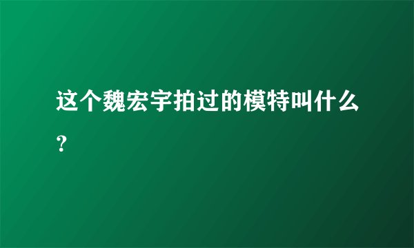 这个魏宏宇拍过的模特叫什么？