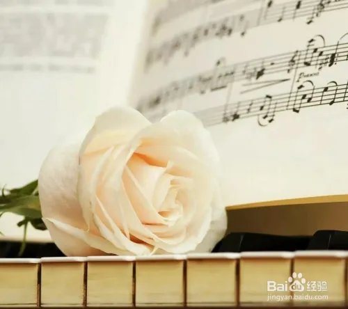 花点心思吧之66朵玫瑰代表什么意思 玫瑰花语