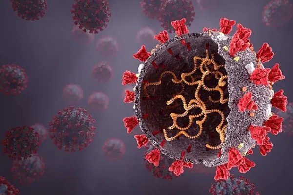 新冠病毒出现了新变种XE，国内出现了吗？加强针还有用吗？