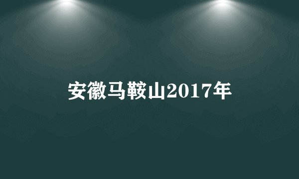 安徽马鞍山2017年