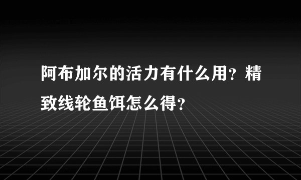 阿布加尔的活力有什么用?精致线轮鱼饵怎么得?