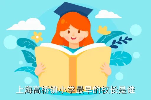 高桥镇小学,上海浦东高桥镇小学择校费是多少