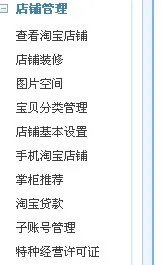 淘宝旺铺专业版多少钱