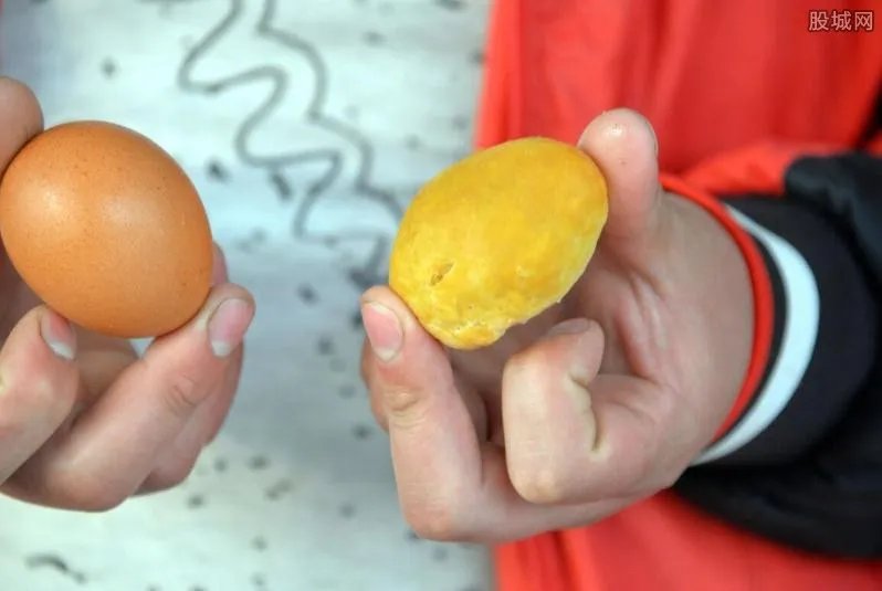 鸡宝是什么东西 鸡宝有什么价值？