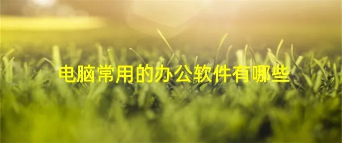 电脑常用的办公软件有哪些