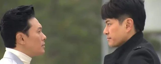 胡定欣和李天翔演过的电视剧 这几部都是