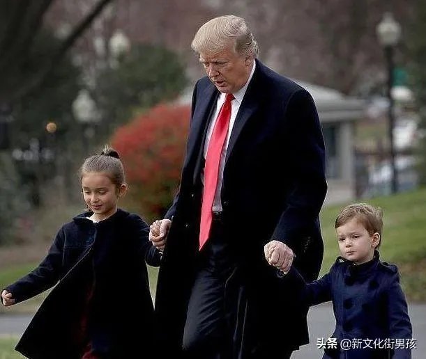 怎么看待特朗普因丹麦拒绝出售格陵兰岛而恼羞成怒，指责丹麦上缴的北约军事费不足呢？