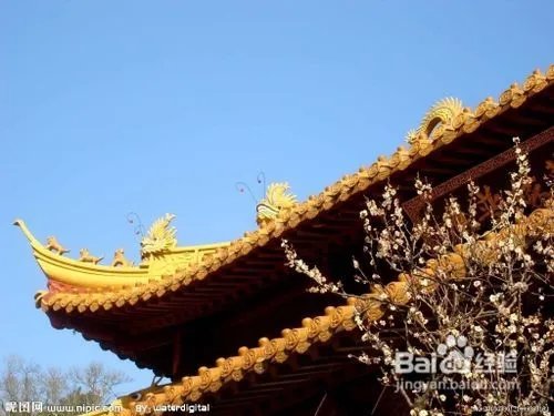 上海到普陀山大巴二日游攻略【完整版】