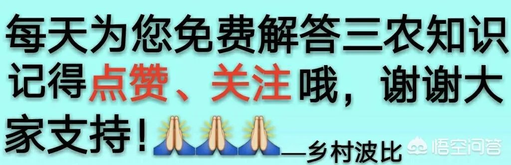 农村俗语“七年难逢九月闰,百年难逢初一春”,是什么意思?