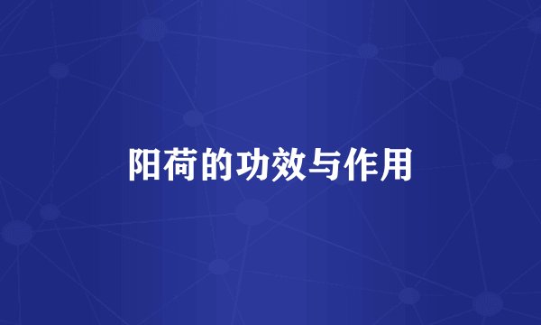 阳荷的功效与作用