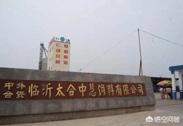 安徽猪饲料排名