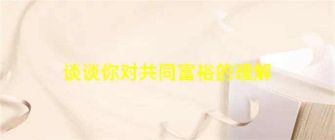 谈谈你对共同富裕的理解