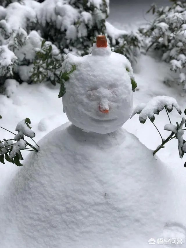 有哪些堆的雪人图片分享？