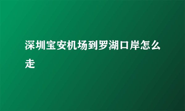 深圳宝安机场到罗湖口岸怎么走
