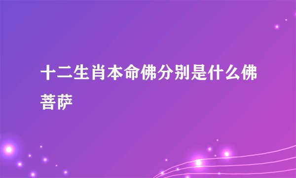 十二生肖本命佛分别是什么佛菩萨