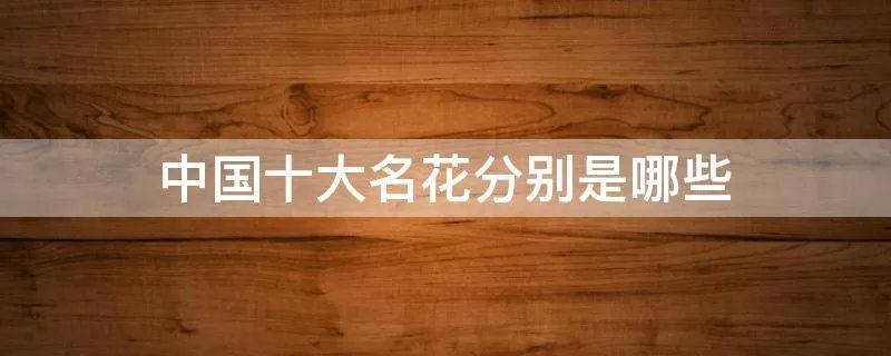 中国十大名花分别是哪些