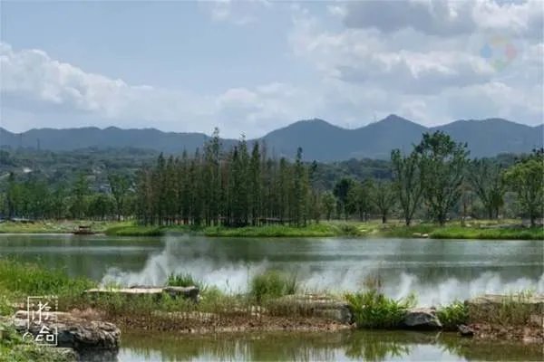 重庆的空气质量如何