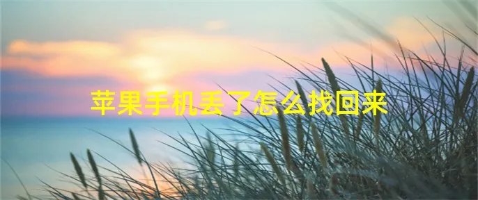 苹果手机丢了怎么找回来