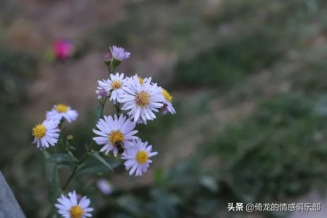 你知道哪些渣男语录?