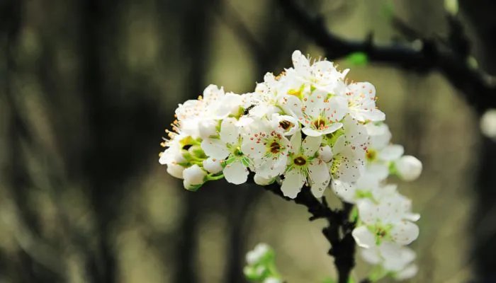 六月你好说说语录