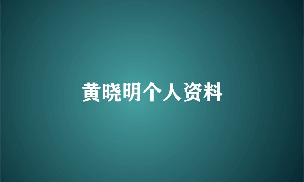 黄晓明个人资料