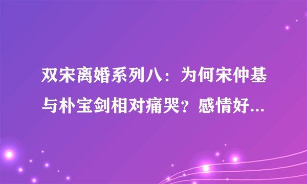 双宋离婚系列八：为何宋仲基与朴宝剑相对痛哭？感情好过宋慧乔！