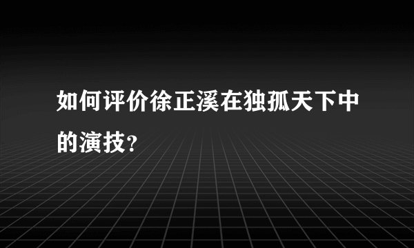 如何评价徐正溪在独孤天下中的演技？