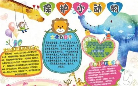 保护动物手抄报简单好看