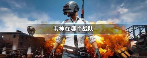 韦神在那个战队