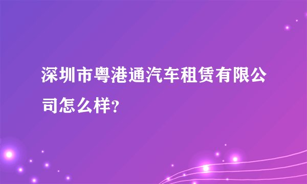 深圳市粤港通汽车租赁有限公司怎么样？