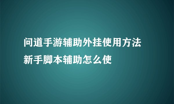 问道手游辅助外挂使用方法 新手脚本辅助怎么使