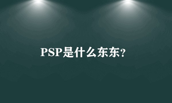 PSP是什么东东？