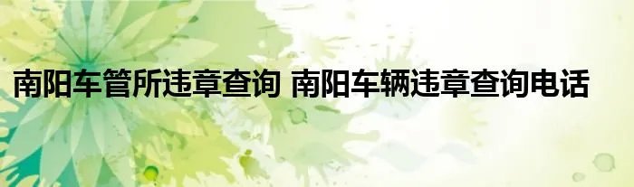 南阳车管所违章查询 南阳车辆违章查询电话
