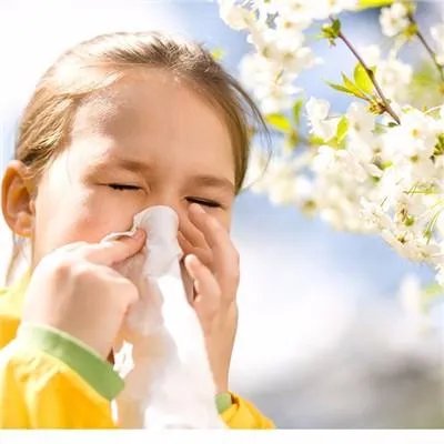 风热感冒吃什么药