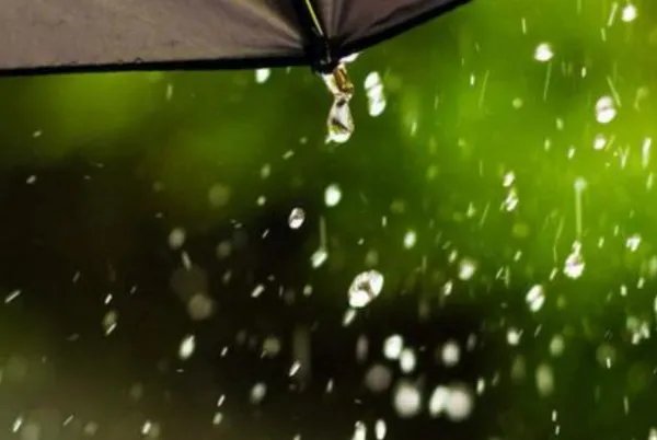 写秋雨绵绵的唯美句子