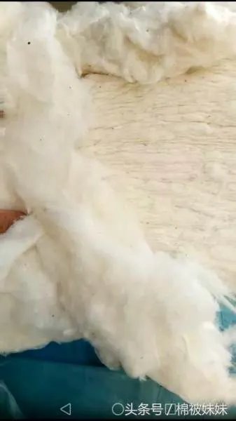 为什么同样是棉花被 价格差距那么大?
