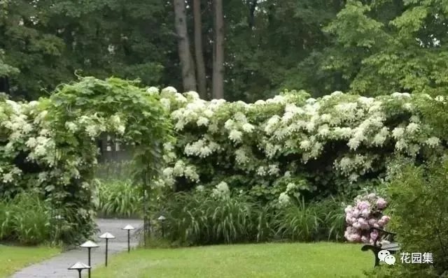 典型英式花园的精髓