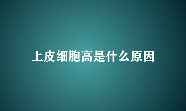 上皮细胞高是什么原因