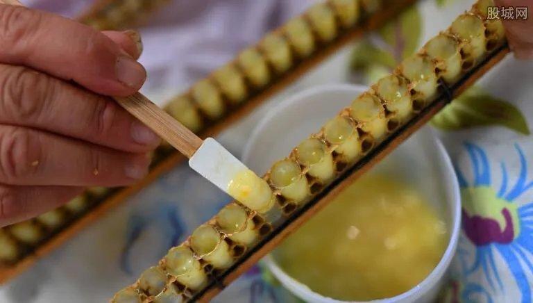 蜂蜜去皱纹是真的吗 什么样的蜂蜜能去皱纹