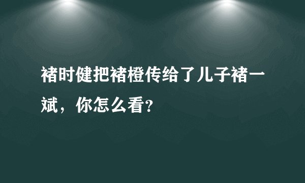 褚时健把褚橙传给了儿子褚一斌，你怎么看？