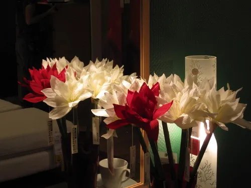 1210万像素实拍样张欣赏