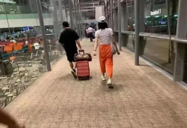 郑恺苗苗官宣领证，他们是怎么相识相恋的？