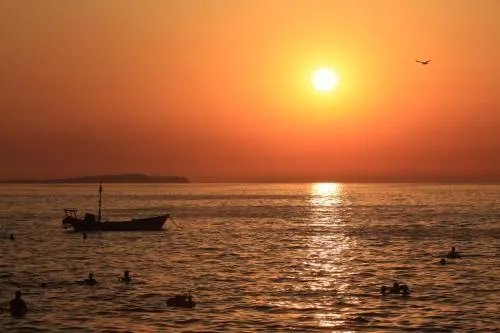 阳的笔顺怎么写