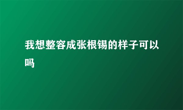 我想整容成张根锡的样子可以吗