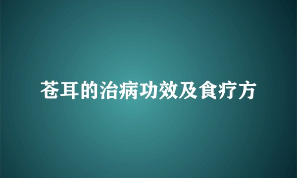 苍耳的治病功效及食疗方